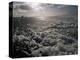 Foam off the Pacific Ocean on Coast Near Westport, Washington State, North America-Aaron McCoy-Premier Image Canvas