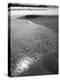 Foam on Sand, Porbandar-null-Premier Image Canvas