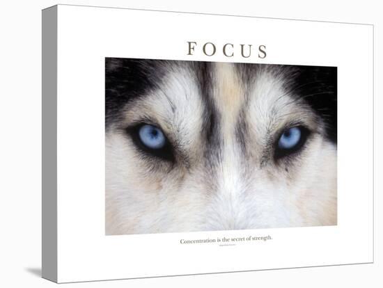 Focus - Concentration Is The Secret Of Strength-Brian Horisk-Premier Image Canvas