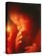 Foetus Aged 5 Months-Neil Bromhall-Premier Image Canvas