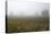 Fog and Farmland Near Hamilton, Waikato, North Island, New Zealand-David Wall-Premier Image Canvas