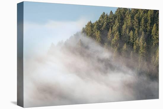 Fog and Forest I-Alan Majchrowicz-Premier Image Canvas