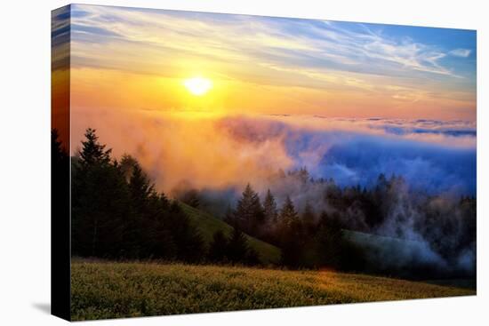 Fog and Light Mix Hills of Mount Tam California-Vincent James-Premier Image Canvas