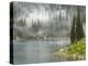 Fog and Rain on Lake Eva, Revelstoke National Park, British Columbia, Canada-Don Paulson-Premier Image Canvas