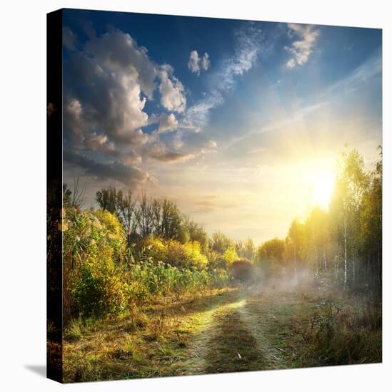 Fog in Autumn Wood at the Sunrise-Givaga-Premier Image Canvas