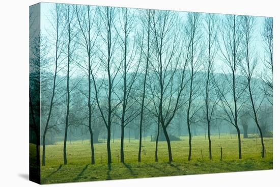 Fog In the Field, Normandy-Caroyl La Barge-Premier Image Canvas