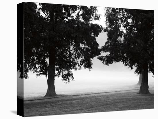 Fog in the Park II-Gary Bydlo-Stretched Canvas