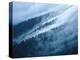 Fog in the Smokey Mountains-Karen Kasmauski-Premier Image Canvas