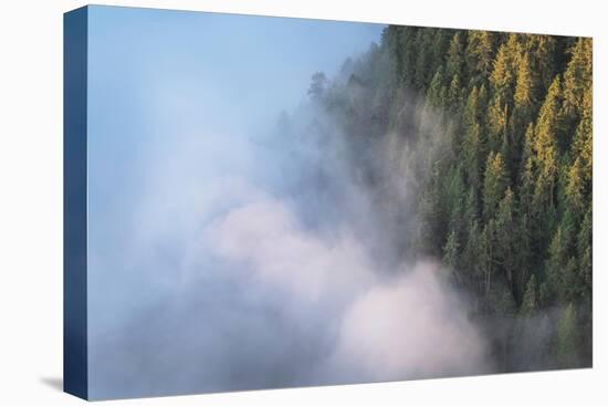 Fog in valley and slopes of Olympic Mountains. Olympic National Park, Washington State-Alan Majchrowicz-Premier Image Canvas