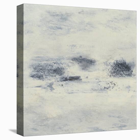 Fog Lifting I-Sharon Gordon-Stretched Canvas