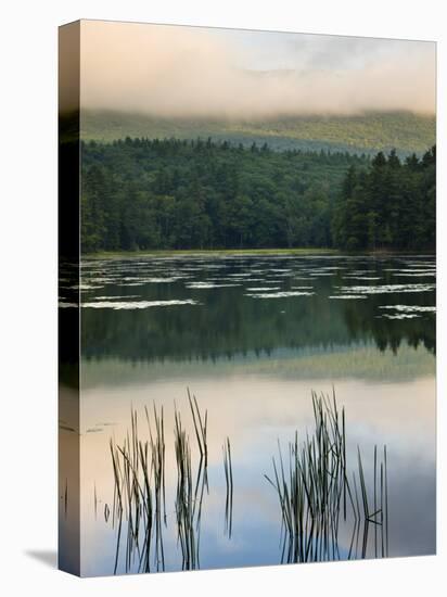 Fog obscures the summit of Mt Monadnock, Monadnock State Park, Jaffrey, New Hampshire, USA-Jerry & Marcy Monkman-Premier Image Canvas