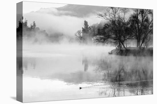Fog on the Lake 2-Sally Linden-Premier Image Canvas