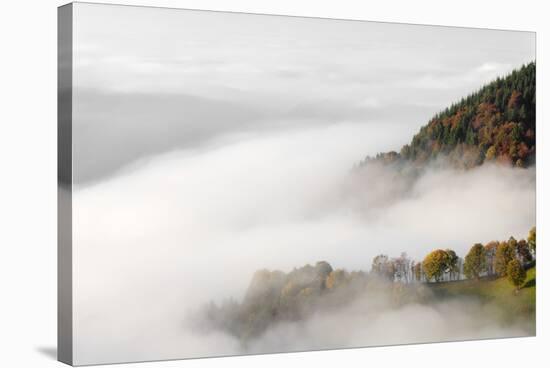 Fog on the Wiedener Eck, Black Forest, Baden-Wurttemberg, Germany-Markus Lange-Stretched Canvas