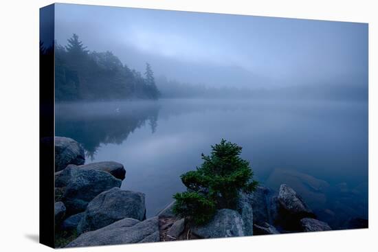 Fog over pond at sunrise, Copperas Pond, Adirondack Mountains State Park, New York State, USA-null-Premier Image Canvas