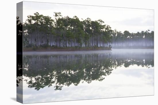 Fog over the Lake in Long Pine Area of Everglades NP-Terry Eggers-Premier Image Canvas