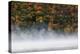 Fog over trees, Keuka Lake Vineyard, Hammondsport, Finger Lakes Region, New York State, USA-Panoramic Images-Premier Image Canvas