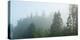 Fog over Trees, Marathon, Ontario, Canada-null-Premier Image Canvas