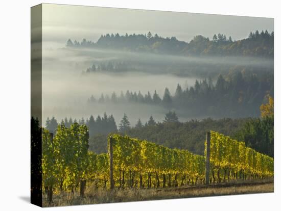 Fog Pools in Willamette Valley, Dundee, Oregon, USA-Janis Miglavs-Premier Image Canvas