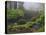 Fog, Portland Japanese Garden, Portland, USA, Oregon-Michel Hersen-Premier Image Canvas