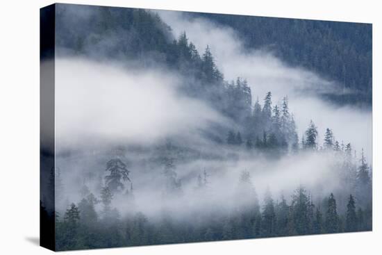 Fog Rolls Through Forest in Misty Fjords National Monument-Paul Souders-Premier Image Canvas