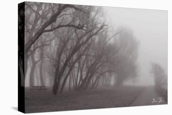 Fog Trail-5fishcreative-Premier Image Canvas