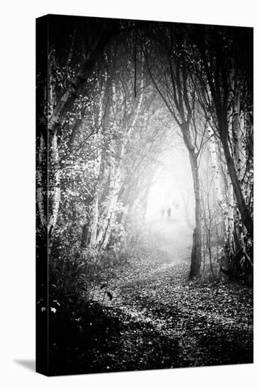 Fog Walkers in Forest-Rory Garforth-Premier Image Canvas