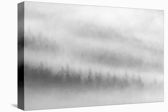 Fog-Ursula Abresch-Premier Image Canvas