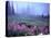 Foggy Alpine Meadow, Mt. Rainier National Park, Washington, USA-Janell Davidson-Premier Image Canvas