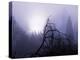 Foggy Day with Trees-Sharon Wish-Premier Image Canvas