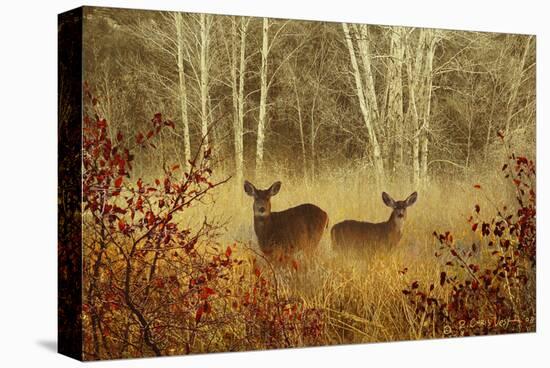 Foggy Deer-Chris Vest-Stretched Canvas