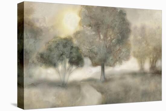 Foggy Field-Edward Selkirk-Stretched Canvas