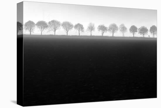 Foggy Flevopolder-Huib Limberg-Premier Image Canvas