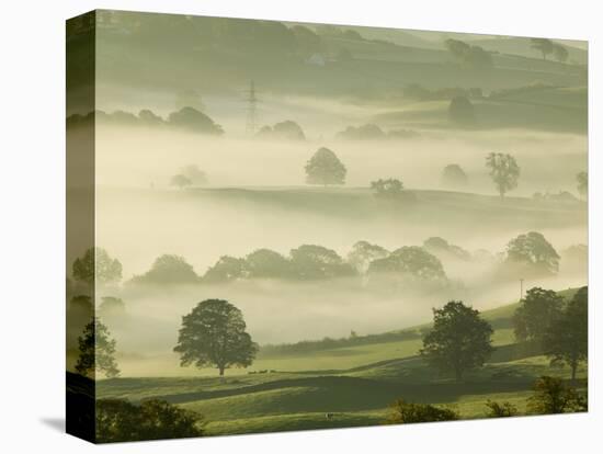 Foggy Grassland-Ashley Cooper-Premier Image Canvas