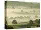 Foggy Grassland-Ashley Cooper-Premier Image Canvas