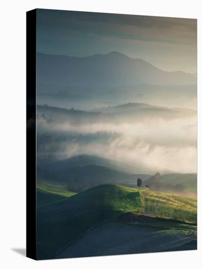 Foggy Landscape in Volterra and a Lonely Tree. Tuscany, Italy-StevanZZ-Premier Image Canvas