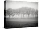 Foggy Landscape-Craig Roberts-Premier Image Canvas