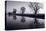 Foggy Morn BW-Steve Gadomski-Premier Image Canvas