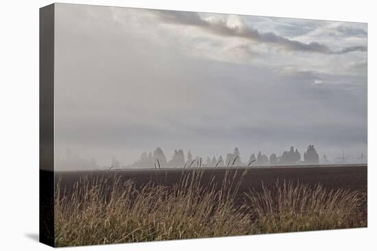 Foggy Morning II-Dana Styber-Premier Image Canvas