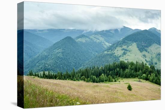 Foggy Morning Landscape with Pine Tree Highland Forest at Carpathian Mountains. Ukraine Destination-Perfect Lazybones-Premier Image Canvas