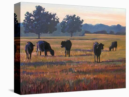 Foggy Morning Light-Patty Baker-Stretched Canvas