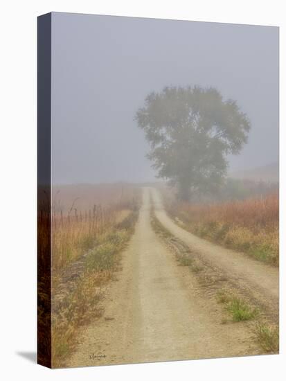 Foggy morning on a Kansas backroad-Michael Scheufler-Premier Image Canvas