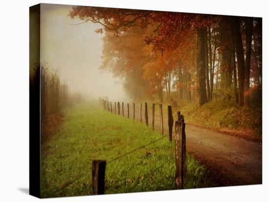 Foggy Morning on Hyatt Lane-Danny Head-Stretched Canvas