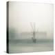 Foggy Morning Scene with Barn-Kevin Cruff-Premier Image Canvas