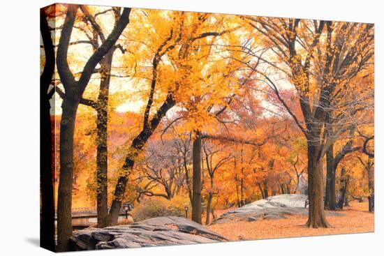 Foggy October Afternoon in Central Park, Manhattan, New York Cit-Sabine Jacobs-Premier Image Canvas