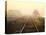 Foggy on the Tracks-Jody Miller-Premier Image Canvas