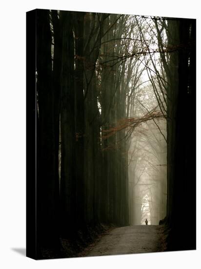 Foggy Path with Trees-Guillaume Carels-Premier Image Canvas