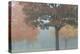 Foggy Trees II-Tammy Putman-Premier Image Canvas