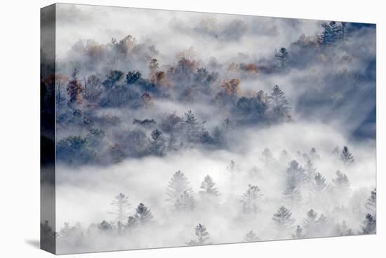 Foggy Valley at Sunrise, Pounding Mill Overlook, North Carolina-Adam Jones-Premier Image Canvas