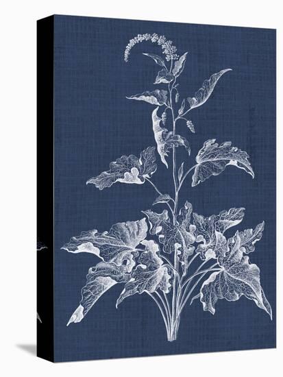 Foliage Chintz II-Vision Studio-Stretched Canvas