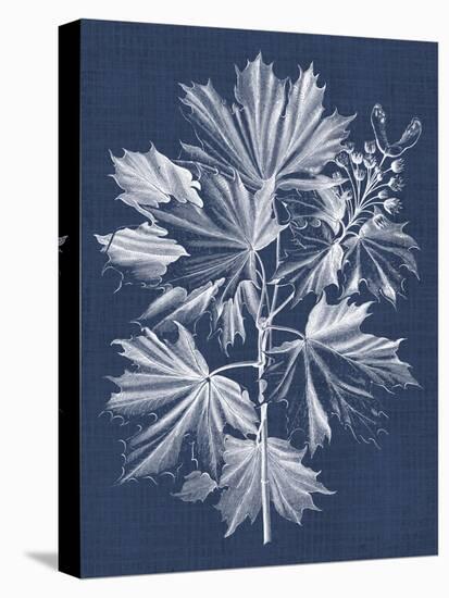 Foliage Chintz V-Vision Studio-Stretched Canvas